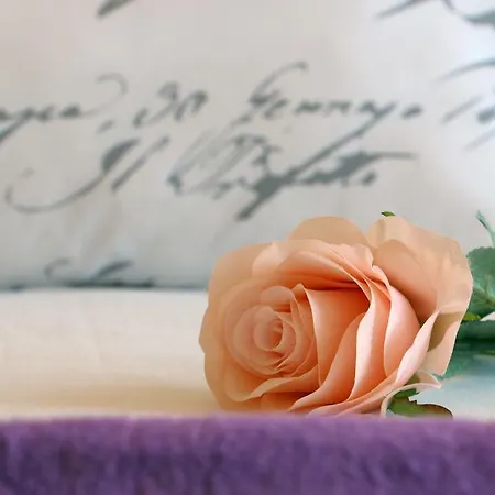 Апартаменты Blue Rose