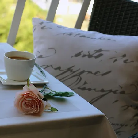 Blue Rose Two Bedroom With Balcony And Free Parking Near Old Town Apartment *