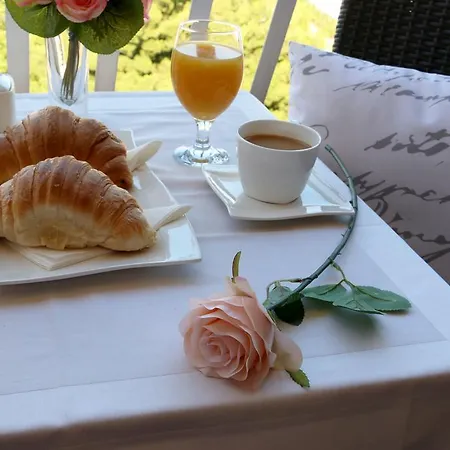 Blue Rose 特罗吉尔